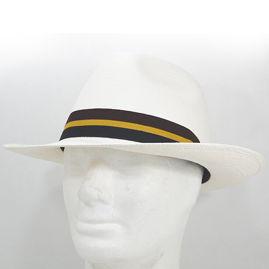 PANAMA_REGIMENTAL_3.jpg